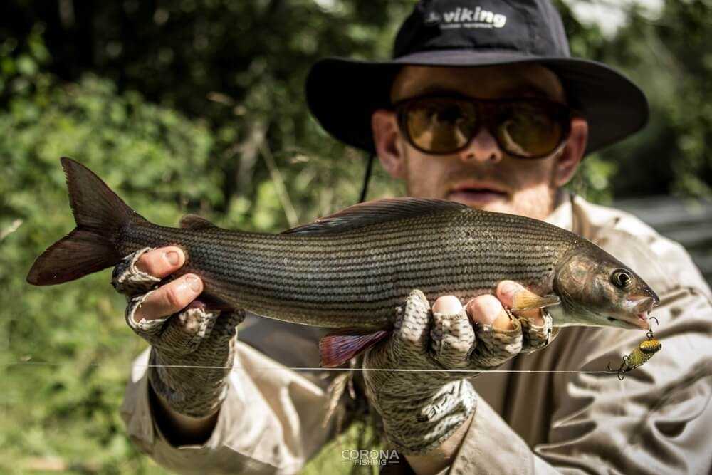 wędkarstwo skandynawia